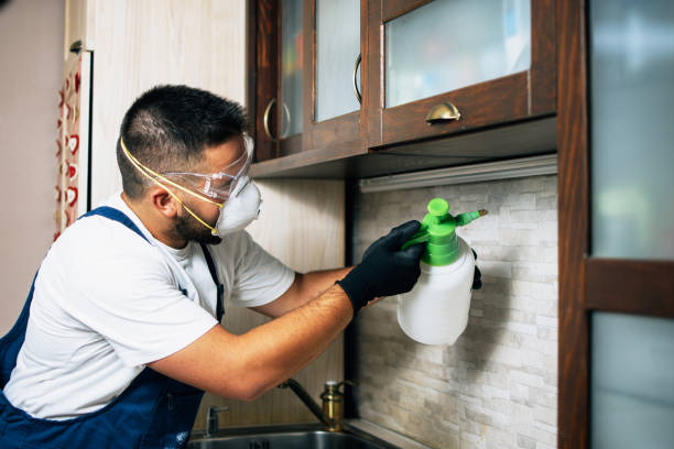 Best Pest Prevention Services  in Hayward, WI